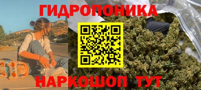 PSILOCYBIN Кулебаки