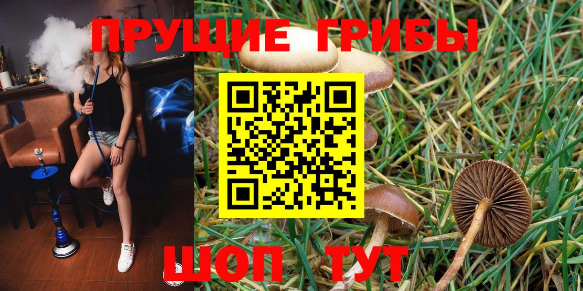 Трёхгорный  Псилоцибиновые грибы Psilocybine cubensis  Вход с VPN  Галлюциногенные грибы Psilocybine cubensis 