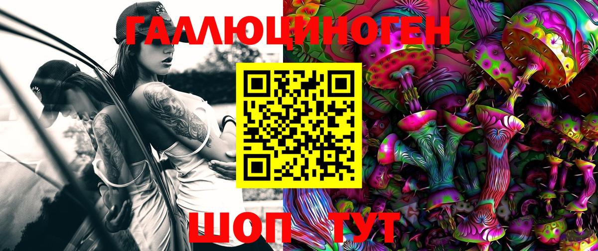 Псилоцибиновые грибы GOLDEN TEACHER Трёхгорный